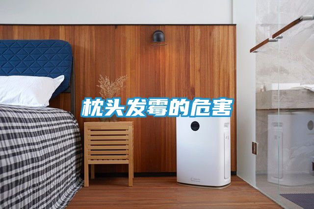 枕头发霉的危害