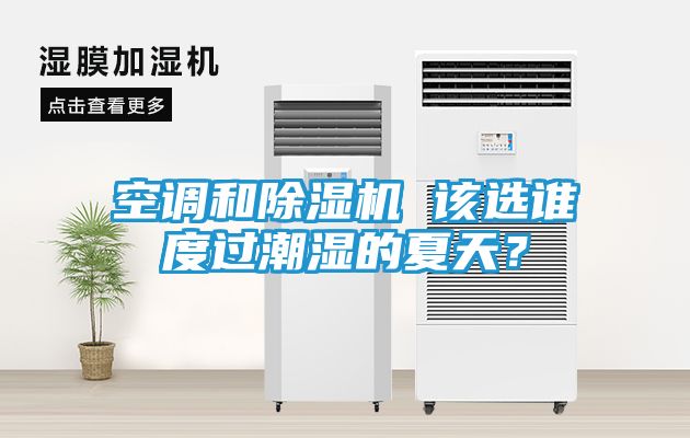 空调和除湿机 该选谁度过潮湿的夏天？