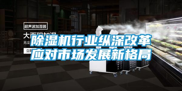 除湿机行业纵深改革应对市场发展新格局