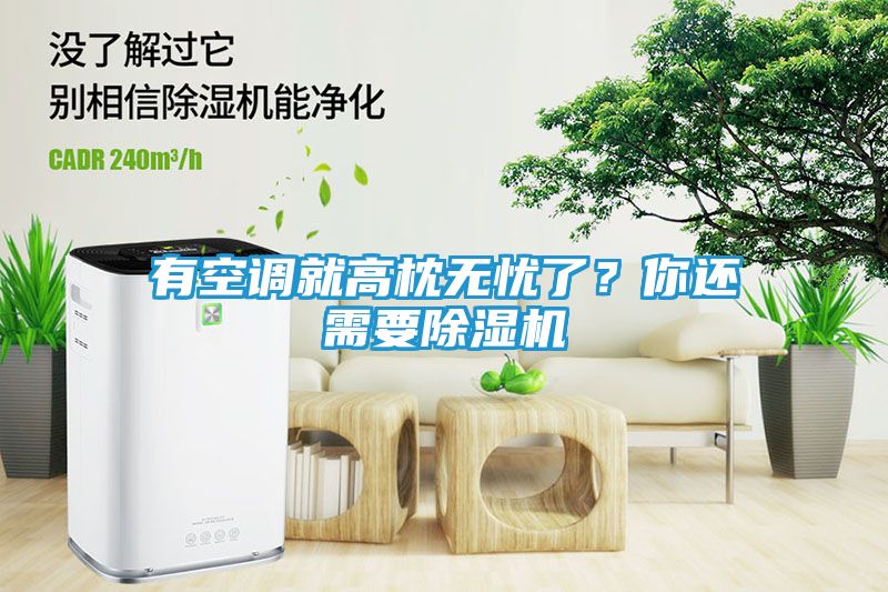 有空调就高枕无忧了？你还需要除湿机