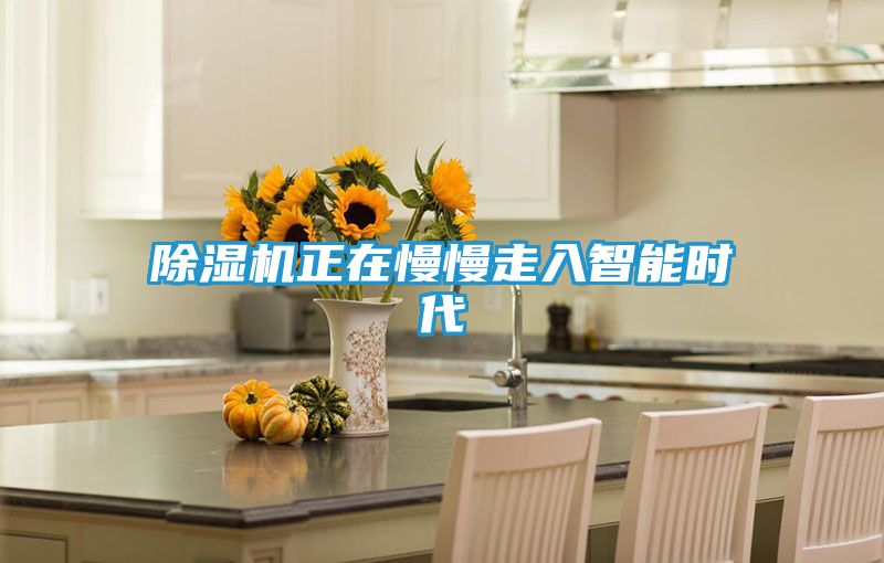 除湿机正在慢慢走入智能时代