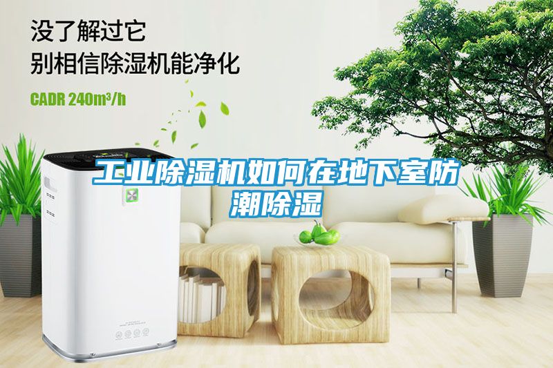 工业除湿机如何在地下室防潮除湿