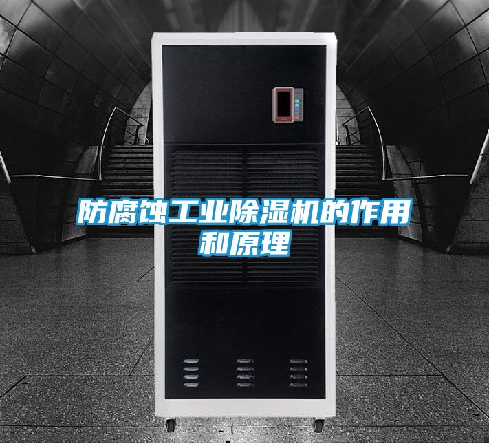 防腐蚀工业除湿机的作用和原理