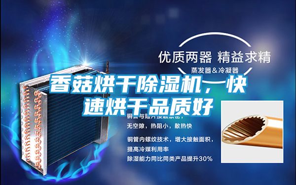 香菇烘干除湿机，快速烘干品质好
