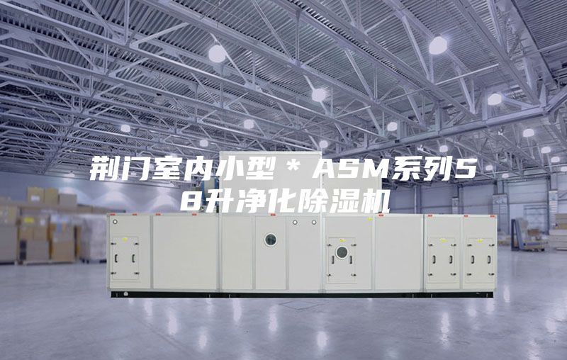 荆门室内小型＊ASM系列58升净化除湿机