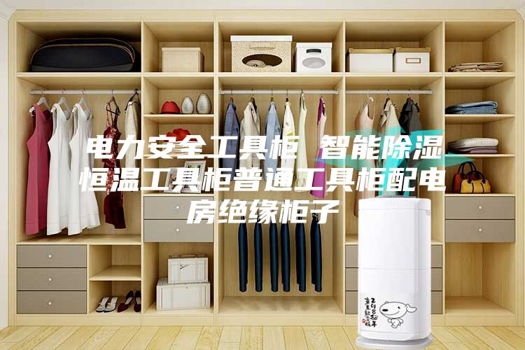 电力安全工具柜 智能除湿恒温工具柜普通工具柜配电房绝缘柜子