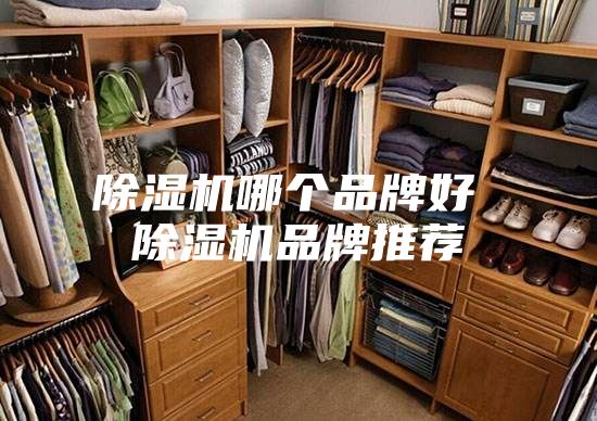 除湿机哪个品牌好 除湿机品牌推荐