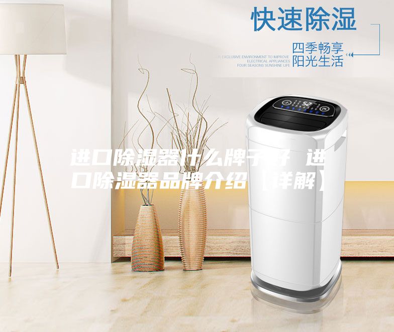 进口除湿器什么牌子好 进口除湿器品牌介绍【详解】