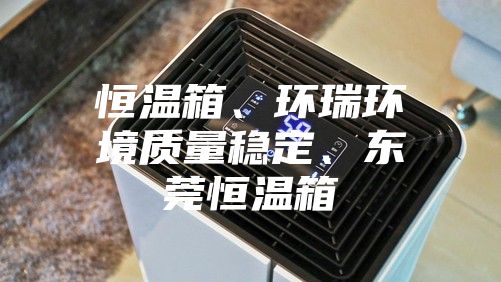 恒温箱、环瑞环境质量稳定、东莞恒温箱