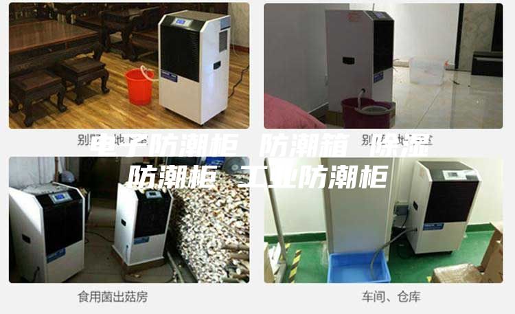 电子防潮柜 防潮箱 除湿防潮柜 工业防潮柜