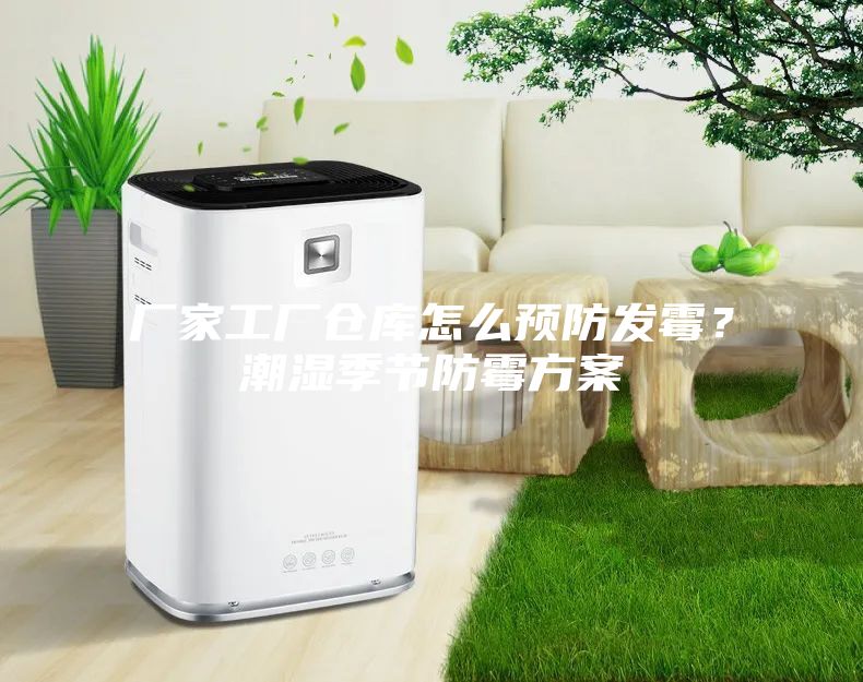 厂家工厂仓库怎么预防发霉?潮湿季节防霉方案