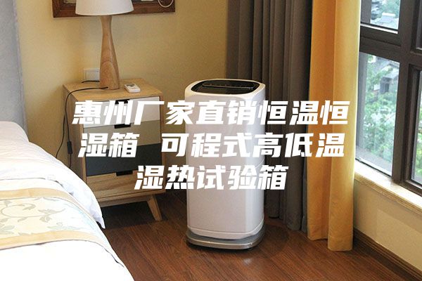 惠州厂家直销恒温恒湿箱 可程式高低温湿热试验箱