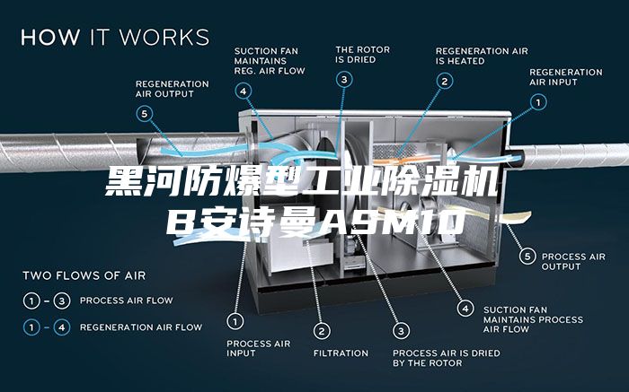 黑河防爆型工业除湿机 B安诗曼ASM10