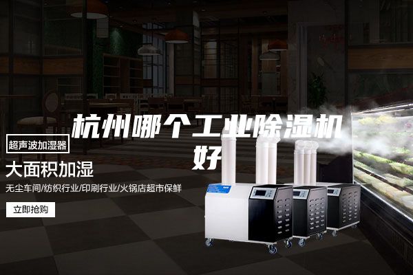 杭州哪个工业除湿机好