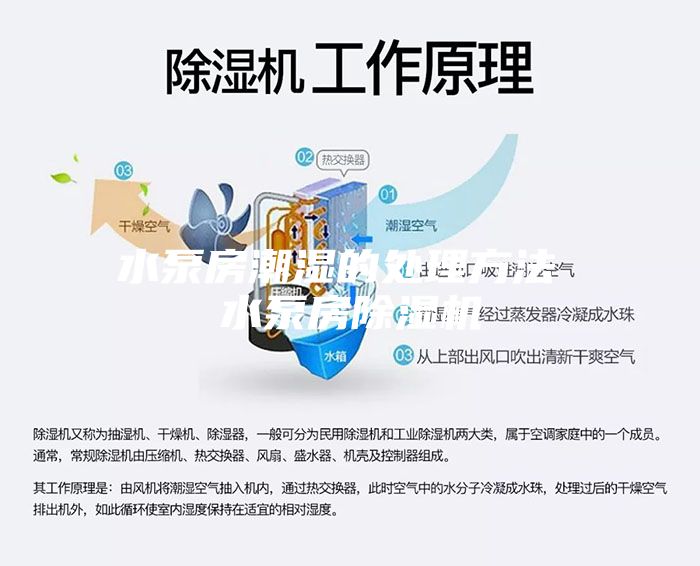 水泵房潮湿的处理方法 水泵房除湿机
