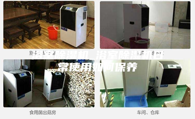 浴室除湿机_浴室除湿机日常使用如何保养
