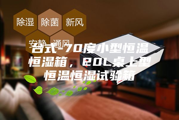 台式-70度小型恒温恒湿箱，20L桌上型恒温恒湿试验箱
