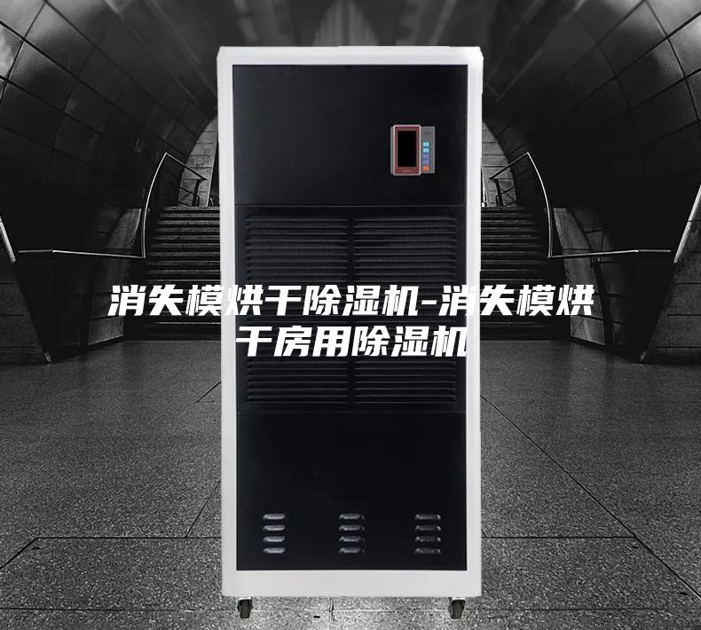 消失模烘干除湿机-消失模烘干房用除湿机