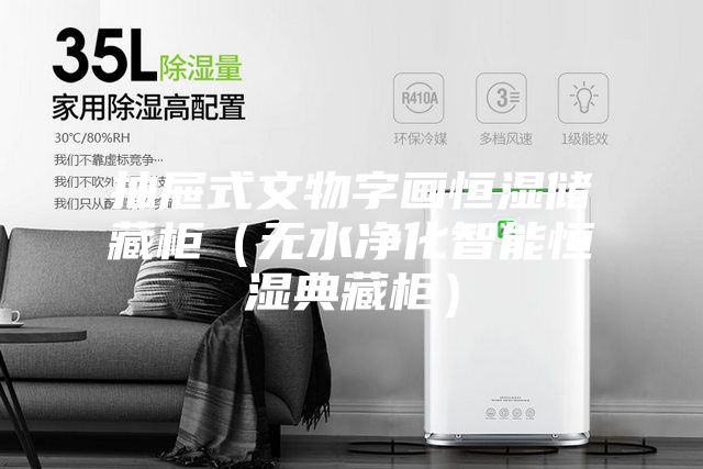 抽屉式文物字画恒湿储藏柜(无水净化智能恒湿典藏柜)