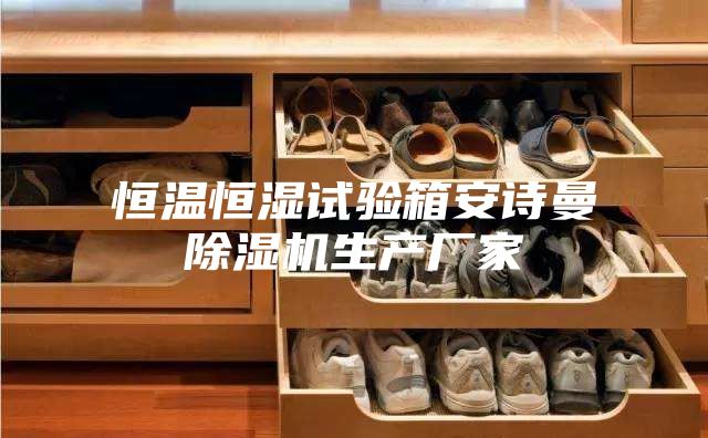 恒温恒湿试验箱安诗曼除湿机生产厂家