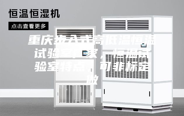 重庆步入式高低温恒温试验室厂家,恒温试验室特点,可非标定做
