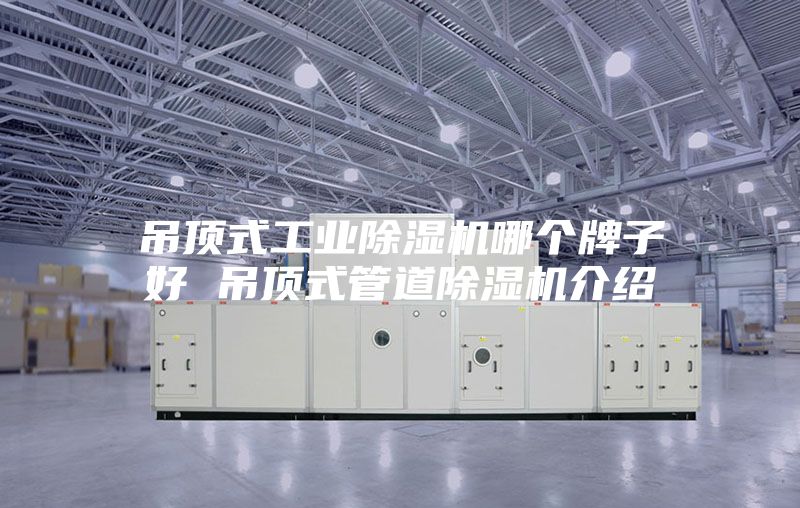 吊顶式工业除湿机哪个牌子好 吊顶式管道除湿机介绍