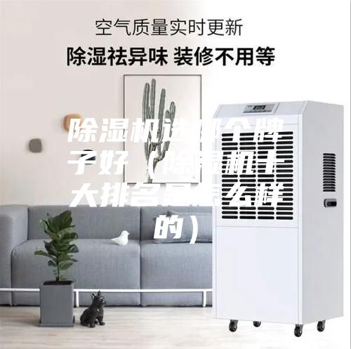 除湿机选哪个牌子好(除湿机十大排名是怎么样的)