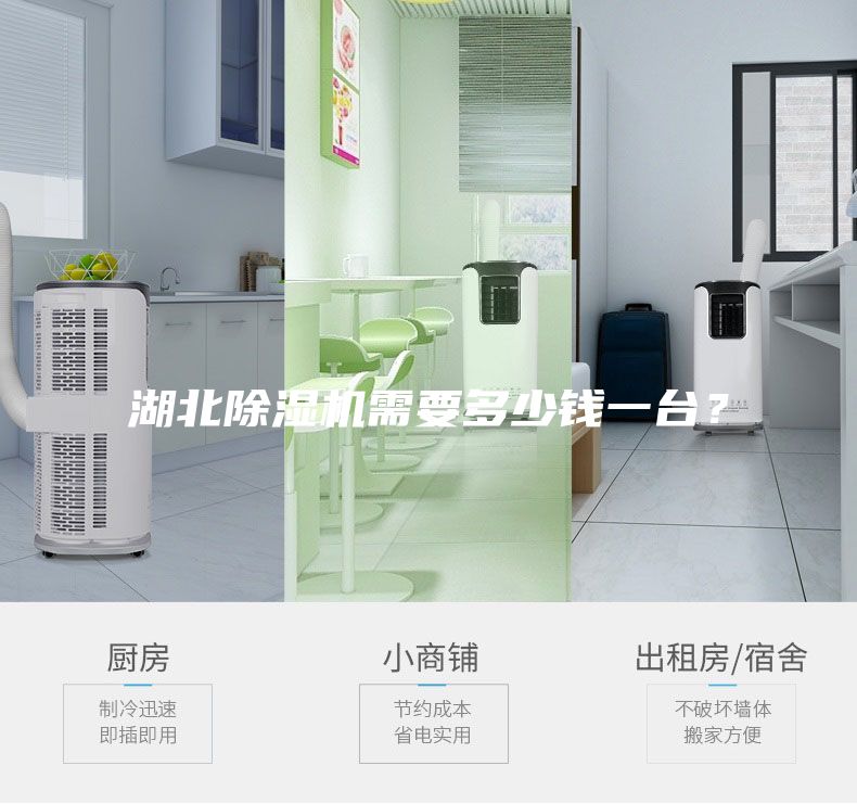 湖北除湿机需要多少钱一台？