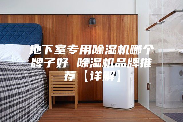 地下室专用除湿机哪个牌子好 除湿机品牌推荐【详解】