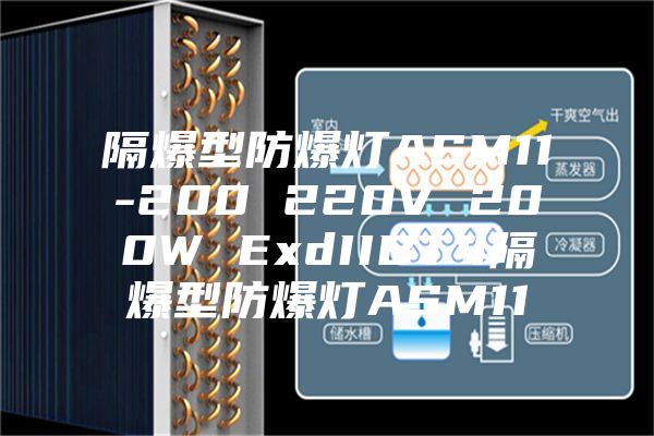 隔爆型防爆灯ASM11-200 220V 200W ExdIIBT4隔爆型防爆灯ASM11