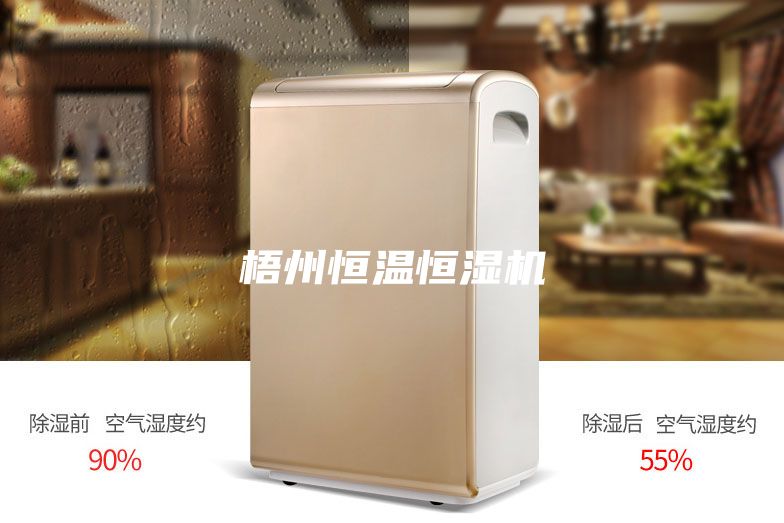 梧州恒温恒湿机