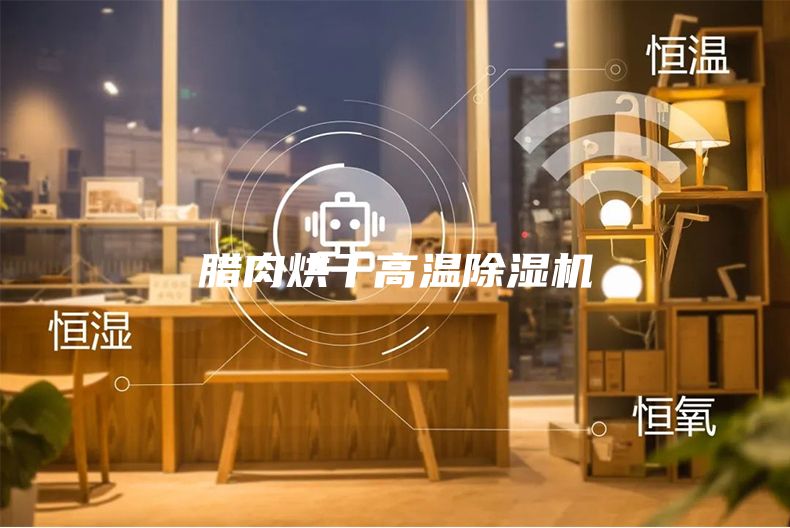 腊肉烘干高温除湿机