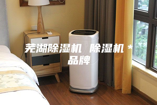芜湖除湿机 除湿机＊品牌