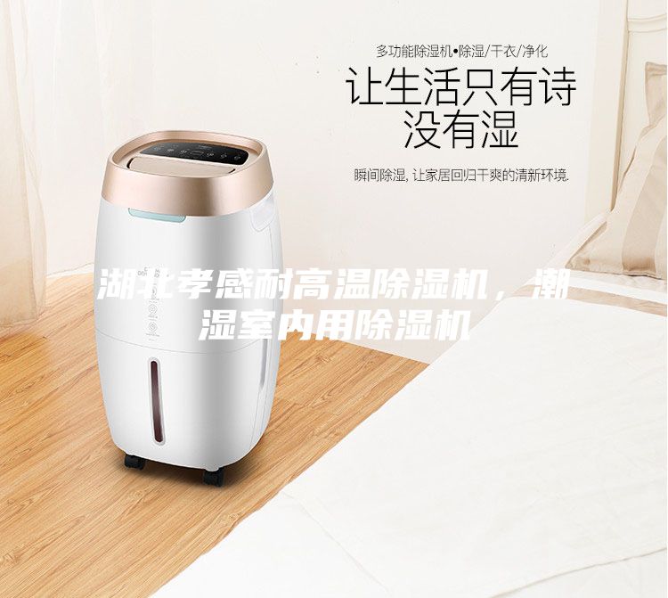 湖北孝感耐高温除湿机，潮湿室内用除湿机