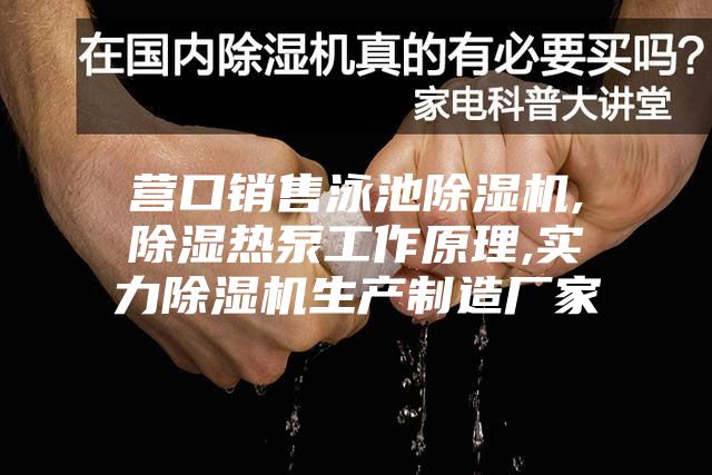 营口销售泳池除湿机,除湿热泵工作原理,实力除湿机生产制造厂家