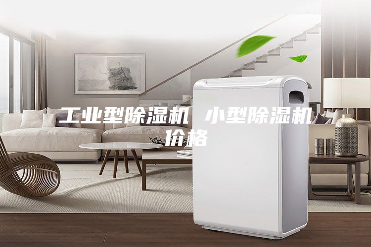 工业型除湿机 小型除湿机价格
