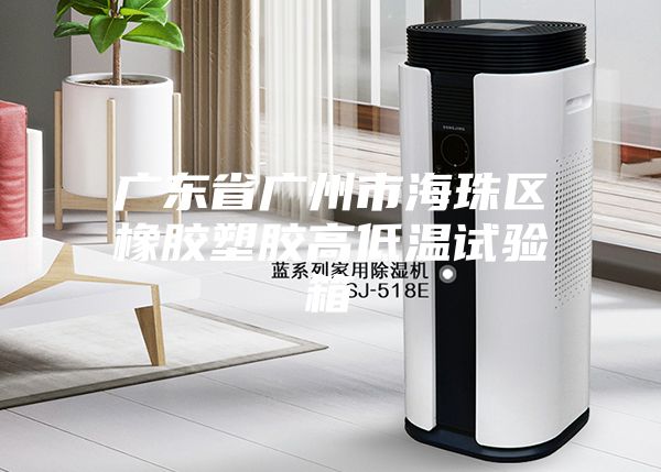 广东省广州市海珠区橡胶塑胶高低温试验箱