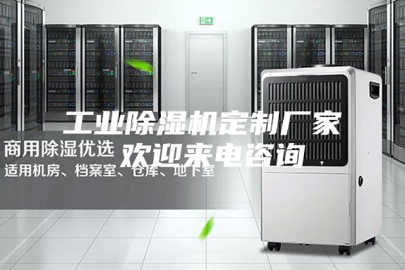 工业除湿机定制厂家 欢迎来电咨询
