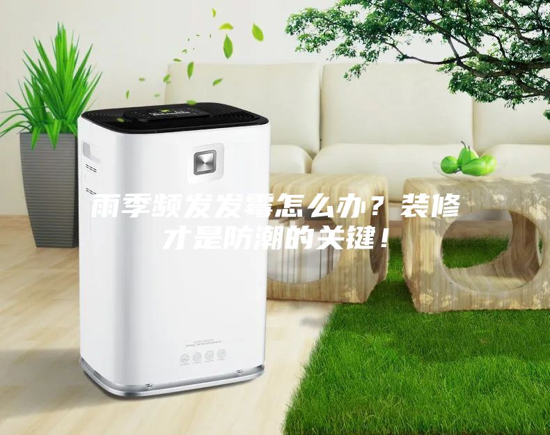 雨季频发发霉怎么办?装修才是防潮的关键!