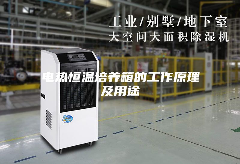 电热恒温培养箱的工作原理及用途