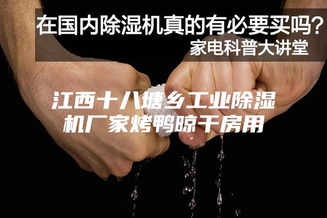 江西十八塘乡工业除湿机厂家烤鸭晾干房用