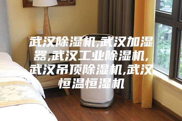 武汉除湿机,武汉加湿器,武汉工业除湿机,武汉吊顶除湿机,武汉恒温恒湿机
