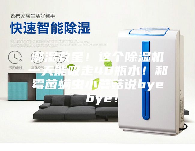 潮湿救星！这个除湿机一天能吸走40瓶水！和霉菌螨虫小蘑菇说bye bye！