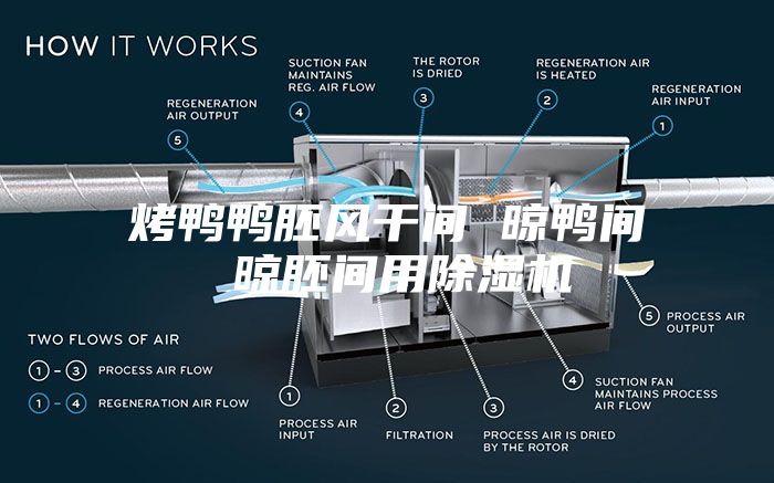 烤鸭鸭胚风干间 晾鸭间 晾胚间用除湿机