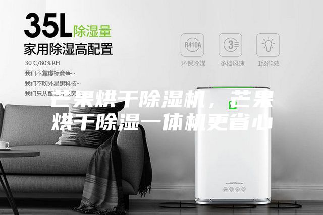 芒果烘干除湿机，芒果烘干除湿一体机更省心