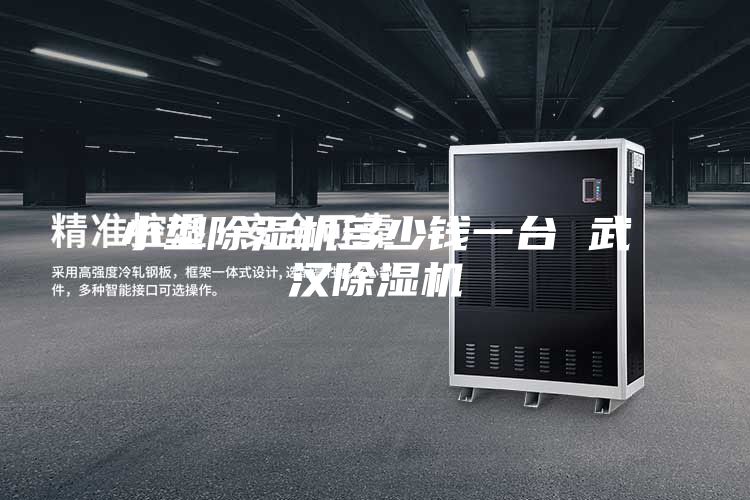 小型除湿机多少钱一台 武汉除湿机