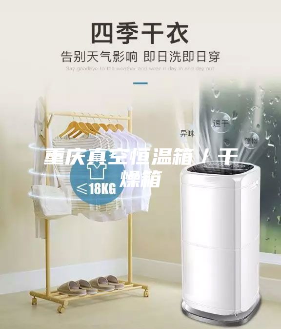 重庆真空恒温箱／干燥箱