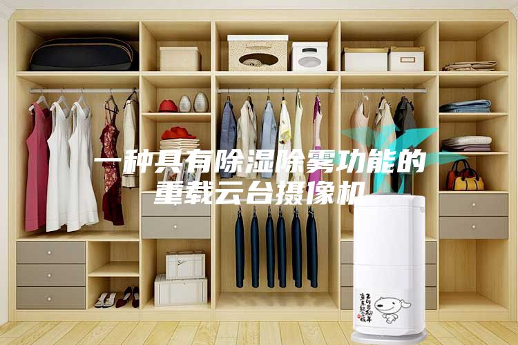 一种具有除湿除雾功能的重载云台摄像机