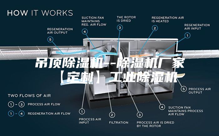 吊顶除湿机--除湿机厂家【定制】工业除湿机