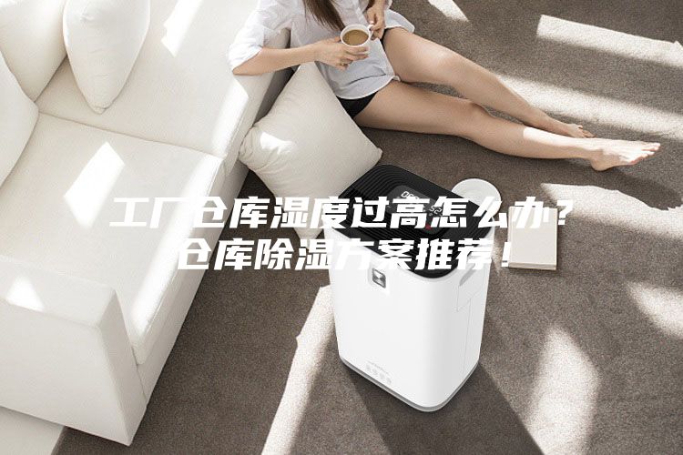 工厂仓库湿度过高怎么办?仓库除湿方案推荐!